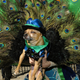Illustration for article titled The Best Costumes From The Tompkins Square Dog Parade